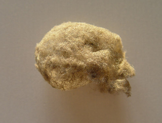 Illustration for article titled Dust Art Gallery